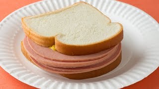 The Truth About Bologna Meat Finally Revealed [upl. by Vastha663]