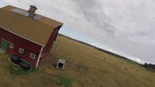 Jenne Farm  Whidbey Island Washington [upl. by Gilbertina841]