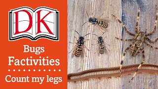 Quiz Bugs—Count My Legs [upl. by Bartle]