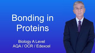 A Level Biology Revision quotBonding in Proteinsquot [upl. by Moth]