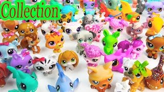 LPS Collection Tour Haul Series Videos Littlest Pet Shop Mommies School Sharks Cookieswirlc Part 1 [upl. by Nevsa]