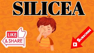 SILICEA HOMOEOPATHIC MEDICINEDRUG PICTURE [upl. by Seluj]