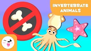 Invertebrate animals for kids arthropods worms cnidarians mollusks sponges echinoderms [upl. by Aifas]