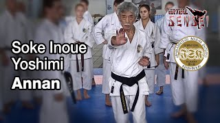 Soke Inoue Yoshimi teaches kata Annan amp bunkai  Seminar Italy 2013 [upl. by Emanuel314]