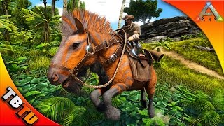 🚩ARK EQUUS TAMING WHERE TO FIND amp HOW TO TAME THE EQUUS Ark Survival Evolved V256 Gameplay [upl. by Reidar]