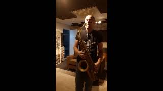 STRAIGHT Selmer mark VI tenor saxophone neck demo [upl. by Frodin]