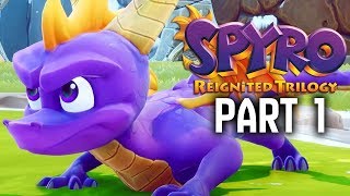 Spyro Enter The Dragonfly PS2 Cutscenes [upl. by Akienat]