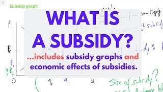 What is a SUBSIDY Subsidies EXPLAINED [upl. by Rorry]