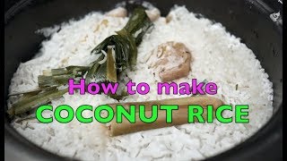 How to make Nasi Lemak Rice in a Rice Cooker  Coconut Rice  Recipe In Description [upl. by Noivert53]