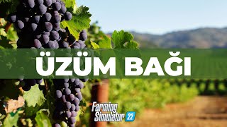 ÜZÜM BAĞI  FARMING SIMULATOR [upl. by Sirak751]