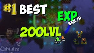 BEST EXP SPAWNS FOR LEVEL 200 PALADINS 1 EPISODE ORAMOND WEST TIBIA [upl. by Airotkiv]