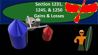 Section 1231 1245 amp 1250 Gains amp Losses  Income Taxes 2018 2019 [upl. by Halueb]