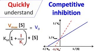 Competitive inhibition [upl. by Ainak]