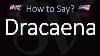 How to Pronounce Dracaena CORRECTLY [upl. by Hake]