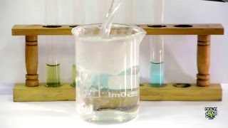 Food Tests  Iodine Biuret Benedicts Ethanol DCPIP [upl. by Hotchkiss393]