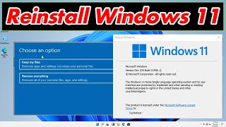 GUIDE How to Reinstall Windows 11 Very Easily amp Quickly Download [upl. by Nasya]