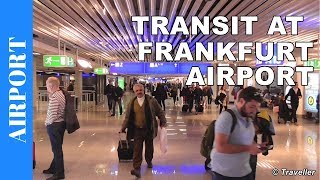 TRANSIT WALK AT FRANKFURT Airport FRA Terminal 1  Connection Flight Transfer Arriving amp Departing [upl. by Notsej70]