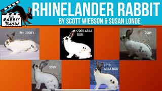 Rhinelander Rabbit Breed [upl. by Aisel968]