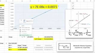 LineweaverBurke Plots in Excel [upl. by Conner342]