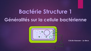 Bactérie Structure 1 BACTERIE [upl. by Rainer]